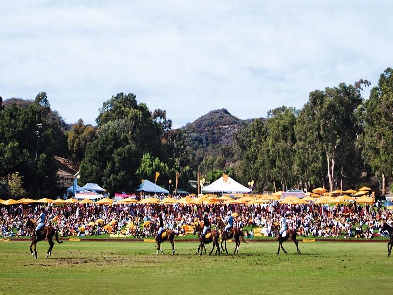 Playing the Field: Polo + Property